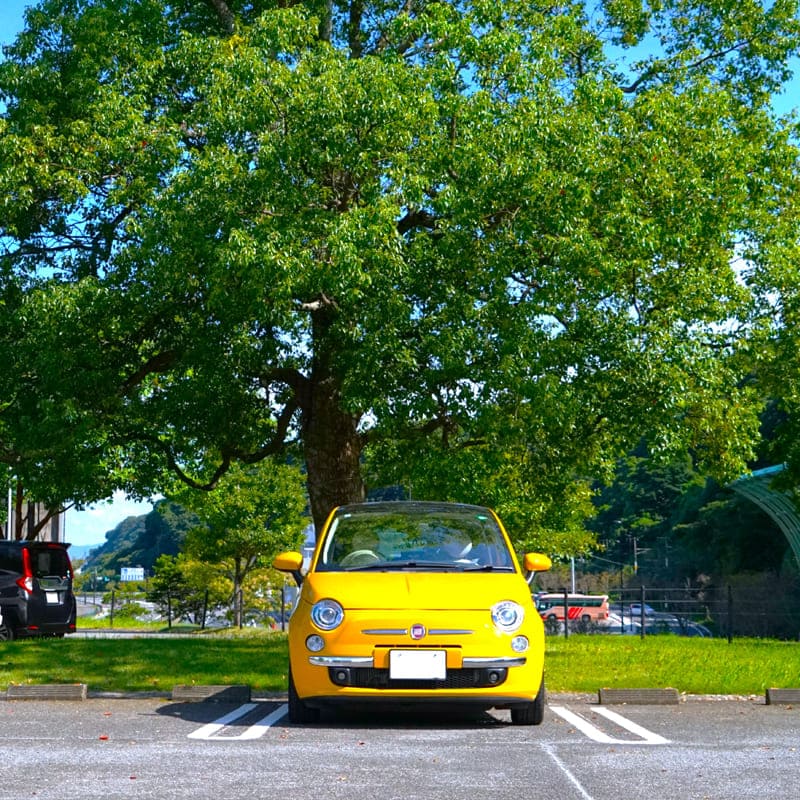 出張費・交通費（3Dバーチャルツアー）
